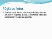 Rūgšties lietus 2 puslapis