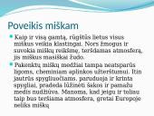 Rūgšties lietus 6 puslapis