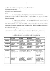Verslo etikos analizė: alkoholinių gėrimų gamyba "Anykščių vynas" 7 puslapis