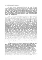 Kaip suvokiama laisvė lietuvių literatūroje?