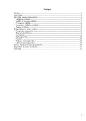 Verslo rizika ir jos mažinimo galimybės: AB "Vilniaus Vingis" 2 puslapis