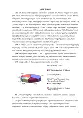 Verslo rizika ir jos mažinimo galimybės: AB "Vilniaus Vingis" 3 puslapis