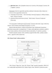 Verslo rizika ir jos mažinimo galimybės: AB "Vilniaus Vingis" 5 puslapis