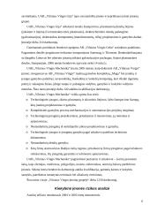 Verslo rizika ir jos mažinimo galimybės: AB "Vilniaus Vingis" 6 puslapis