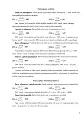 Verslo rizika ir jos mažinimo galimybės: AB "Vilniaus Vingis" 8 puslapis