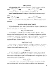 Verslo rizika ir jos mažinimo galimybės: AB "Vilniaus Vingis" 9 puslapis