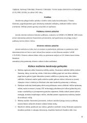 Verslo rizika ir jos mažinimo galimybės: AB "Vilniaus Vingis" 10 puslapis