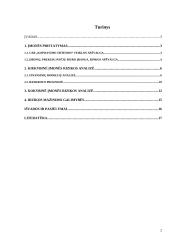 Verslo rizika ir jos mažinimo galimybės: UAB "Kopijavimo sistemos" 2 puslapis