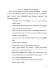 Verslo rizika ir jos mažinimo galimybės: UAB "Kopijavimo sistemos" 15 puslapis