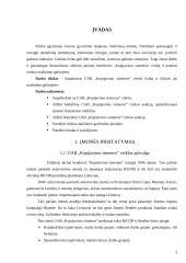 Verslo rizika ir jos mažinimo galimybės: UAB "Kopijavimo sistemos" 3 puslapis