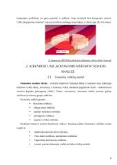 Verslo rizika ir jos mažinimo galimybės: UAB "Kopijavimo sistemos" 6 puslapis