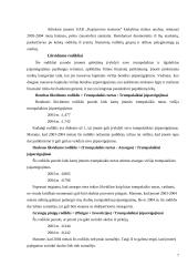 Verslo rizika ir jos mažinimo galimybės: UAB "Kopijavimo sistemos" 7 puslapis