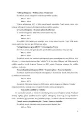 Verslo rizika ir jos mažinimo galimybės: UAB "Kopijavimo sistemos" 9 puslapis