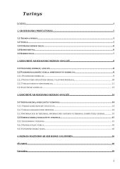 Verslo rizika ir verslo rizikos mažinimo galimybės: SEB bankas 2 puslapis