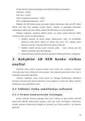 Verslo rizika ir verslo rizikos mažinimo galimybės: SEB bankas 14 puslapis
