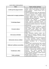 Verslo rizika ir verslo rizikos mažinimo galimybės: SEB bankas 18 puslapis