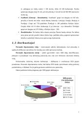 Verslo rizika ir verslo rizikos mažinimo galimybės: SEB bankas 7 puslapis