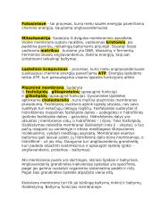 12 klasės pasiruošimas biologijos egzaminui 12 puslapis