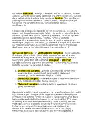 12 klasės pasiruošimas biologijos egzaminui 16 puslapis