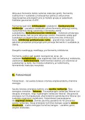 12 klasės pasiruošimas biologijos egzaminui 20 puslapis