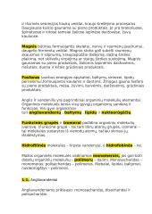 12 klasės pasiruošimas biologijos egzaminui 3 puslapis
