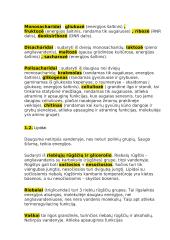 12 klasės pasiruošimas biologijos egzaminui 4 puslapis