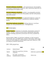 12 klasės pasiruošimas biologijos egzaminui 6 puslapis