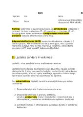 12 klasės pasiruošimas biologijos egzaminui 7 puslapis