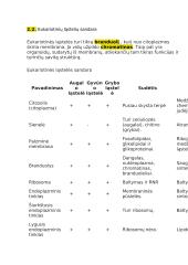 12 klasės pasiruošimas biologijos egzaminui 9 puslapis