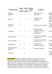 12 klasės pasiruošimas biologijos egzaminui 10 puslapis