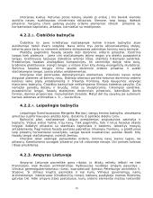 Klasicizmas. Referatas 10 puslapis