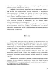 Vertybinių popierių rinkos raidos tendencijos 16 puslapis