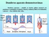 Kvėpavimo takai ir plaučiai 12 puslapis