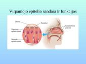 Kvėpavimo takai ir plaučiai 5 puslapis