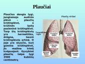 Kvėpavimo takai ir plaučiai 8 puslapis