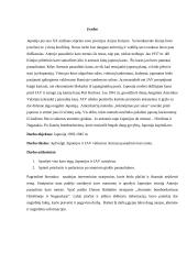 Japonija Antrojo pasaulinio karo metais 3 puslapis