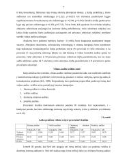 Vidaus auditas viešame ir privačiame sektoriuje 7 puslapis