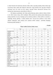 Vidaus auditas viešame ir privačiame sektoriuje 8 puslapis