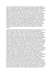 Individo ir bendruomenės santykiai literatūroje 2 puslapis