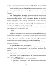 Vidaus audito etapai 12 puslapis