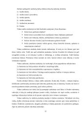 Vidaus audito etapai 13 puslapis