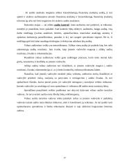 Vidaus audito etapai 17 puslapis