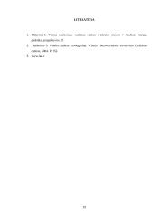 Vidaus audito etapai 19 puslapis