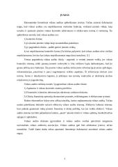 Vidaus audito etapai 3 puslapis