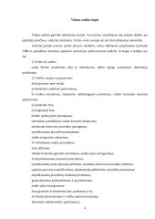 Vidaus audito etapai 4 puslapis