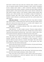 Vidaus audito etapai 6 puslapis