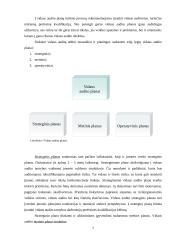 Vidaus audito etapai 7 puslapis