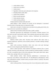 Vidaus audito etapai 8 puslapis