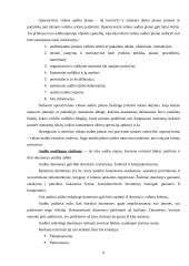 Vidaus audito etapai 9 puslapis