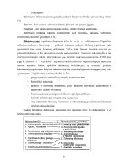 Vidaus audito etapai 10 puslapis